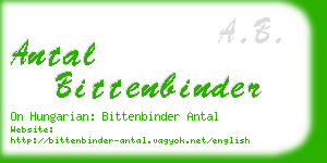 antal bittenbinder business card